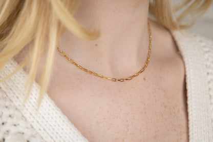 Margot Signature Chain